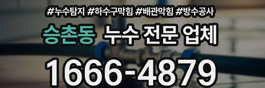 승촌동 누수 전문 업체