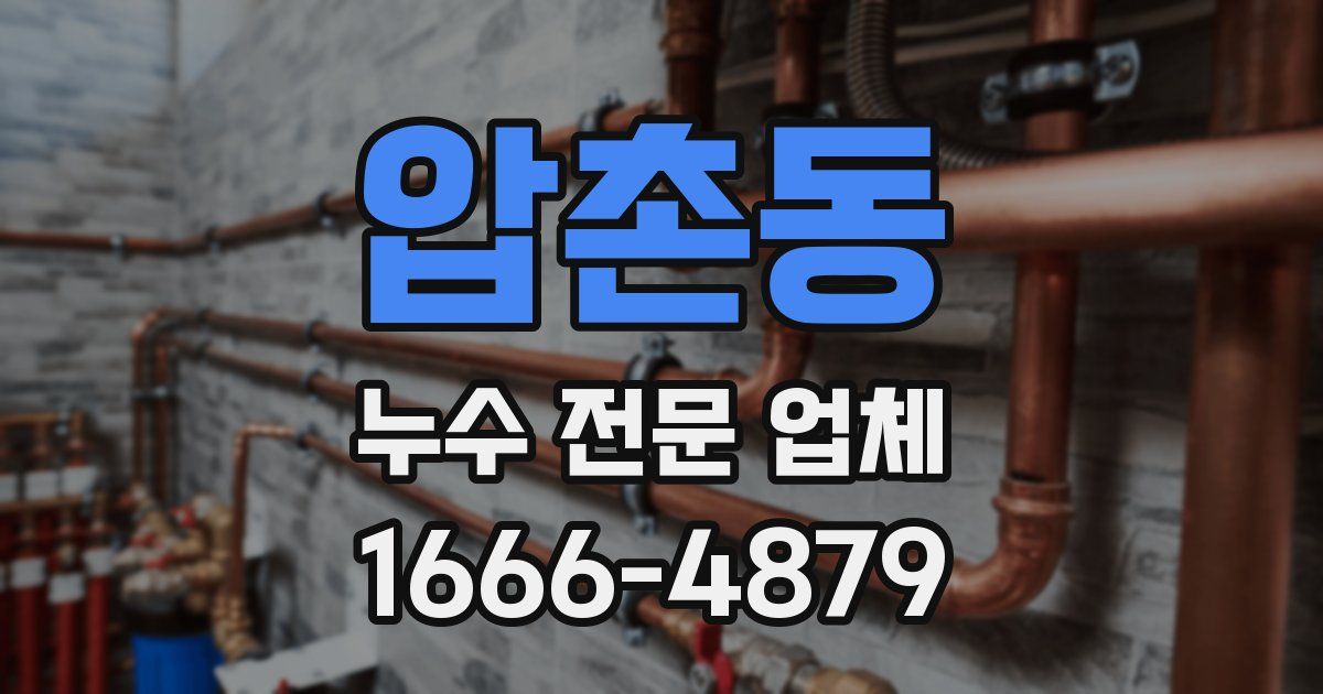 압촌동 누수 전문 업체