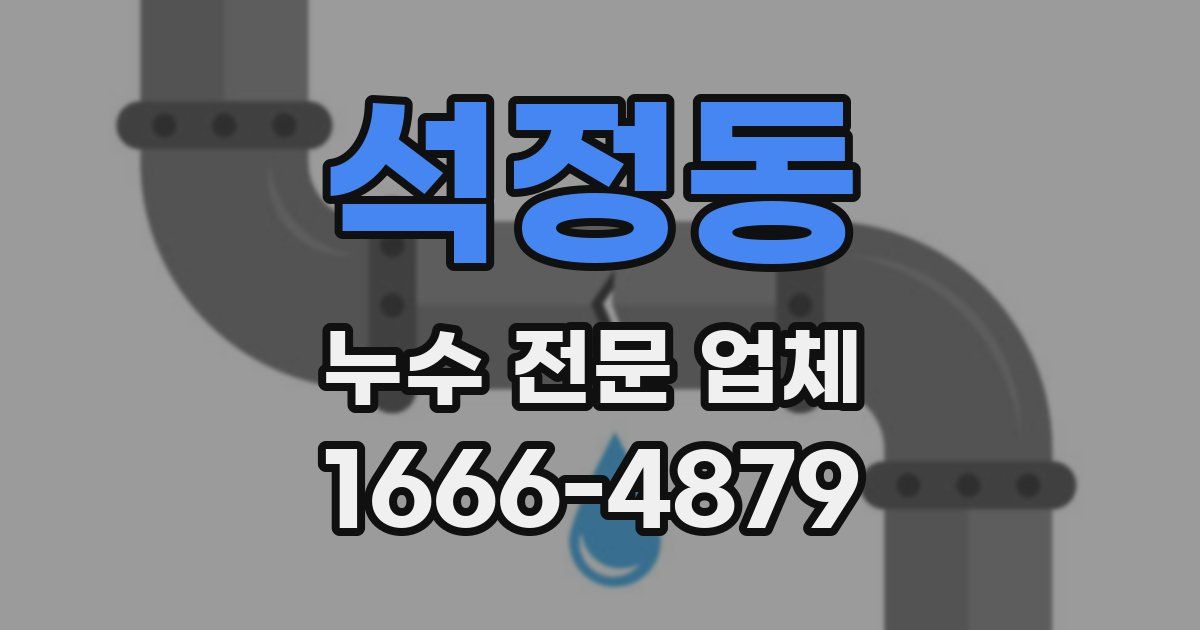 석정동 누수 전문 업체