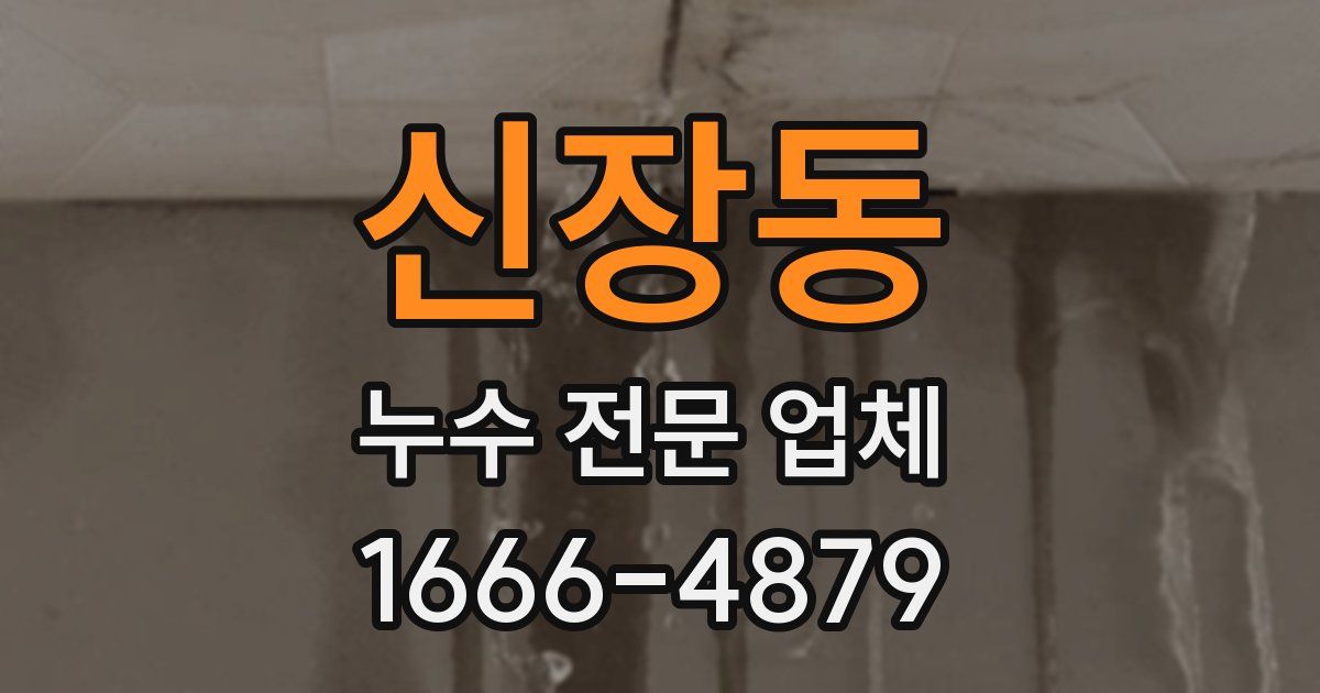 신장동 누수 전문 업체
