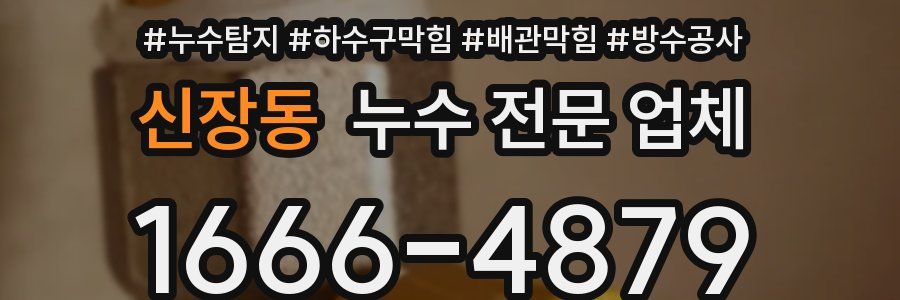 신장동 누수 전문 업체