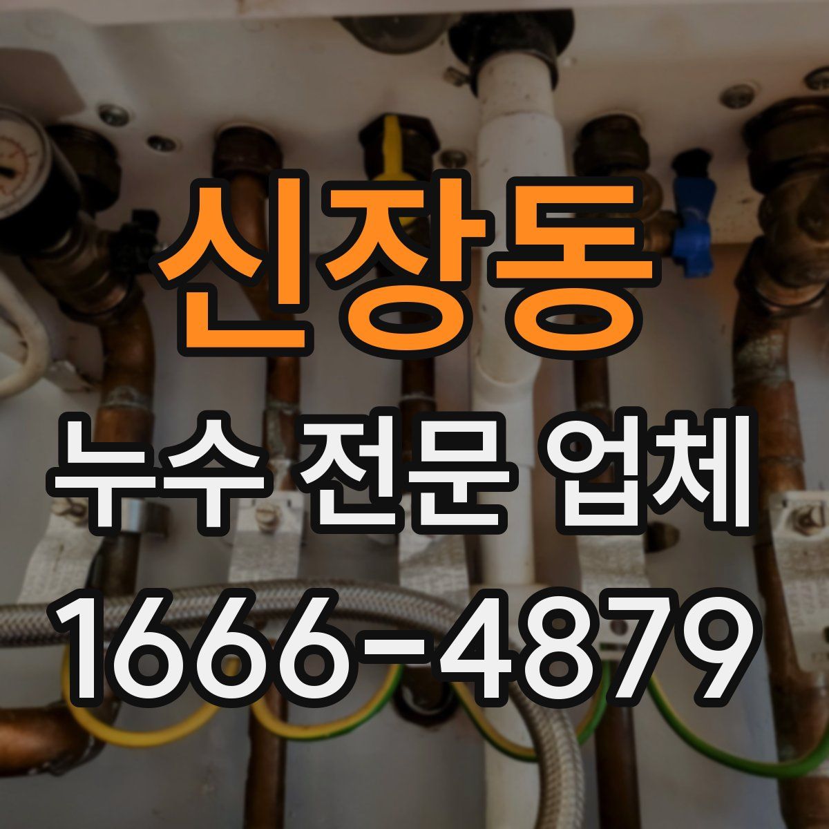 신장동 누수 전문 업체