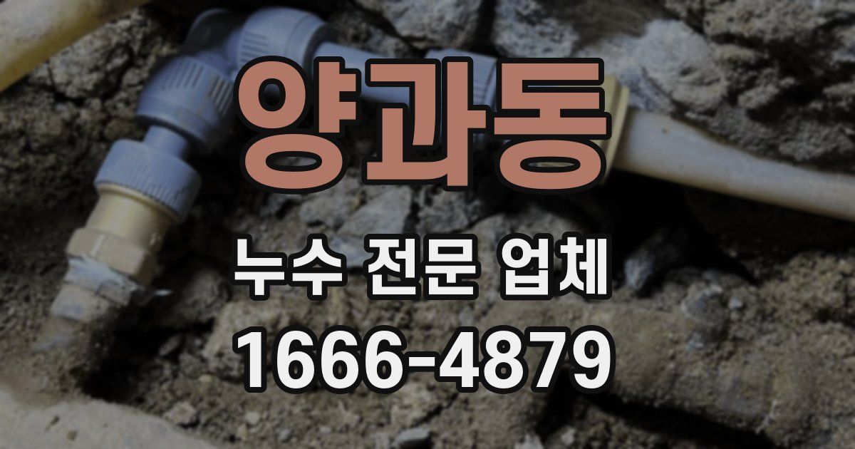 양과동 누수 전문 업체