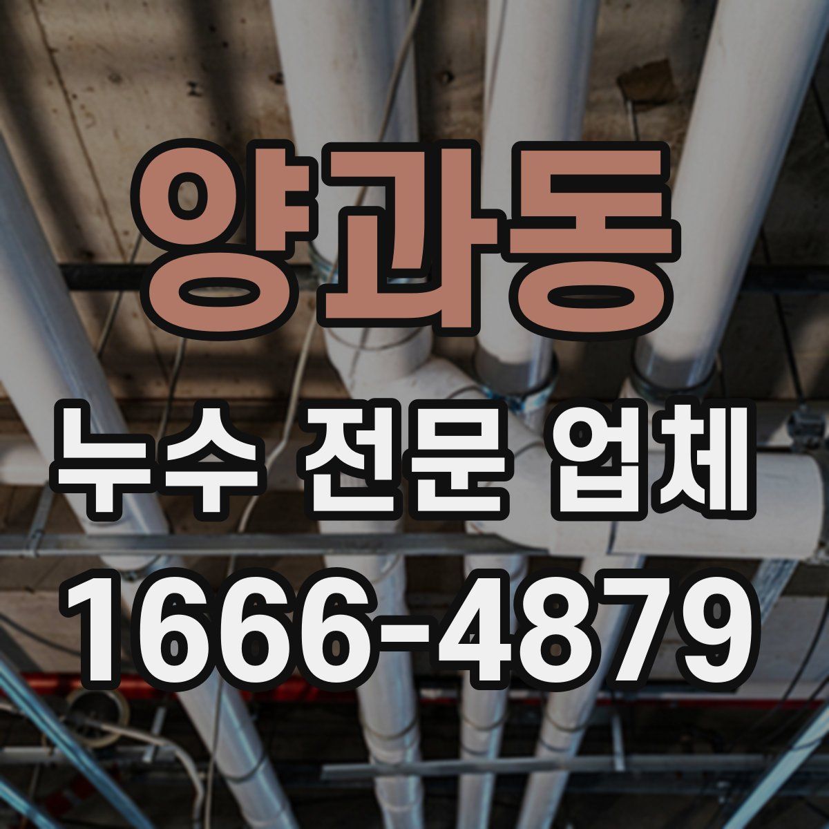 양과동 누수 전문 업체