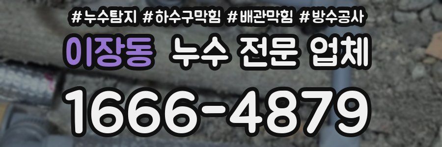 이장동 누수 전문 업체