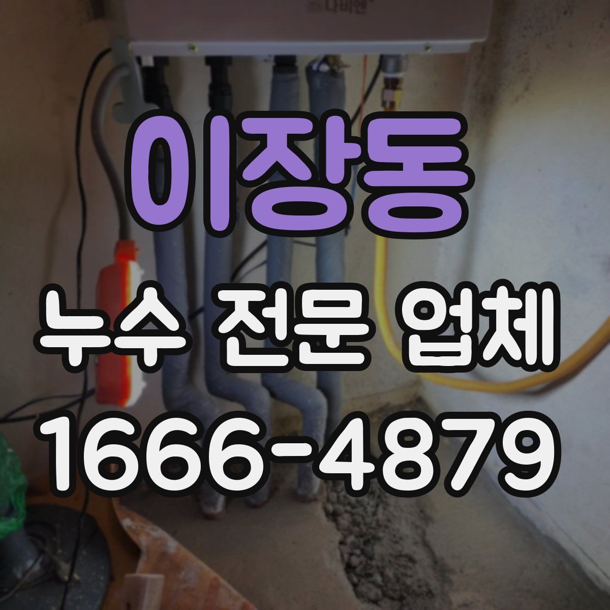 이장동 누수 전문 업체