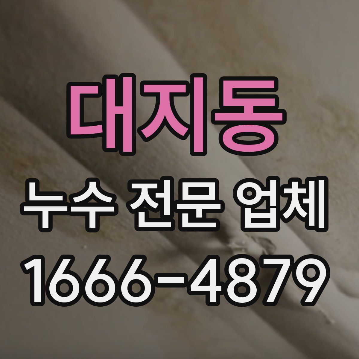 대지동 누수 전문 업체