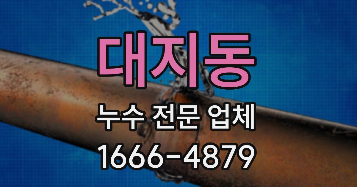 대지동 누수 전문 업체