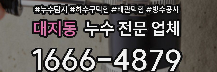 대지동 누수 전문 업체