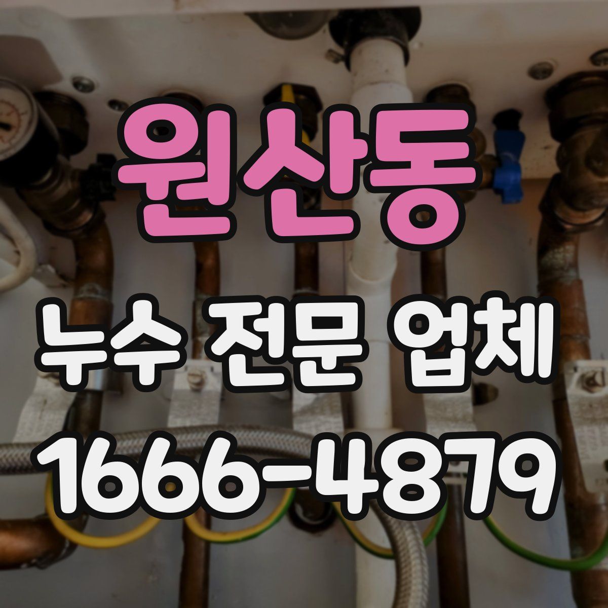 원산동 누수 전문 업체