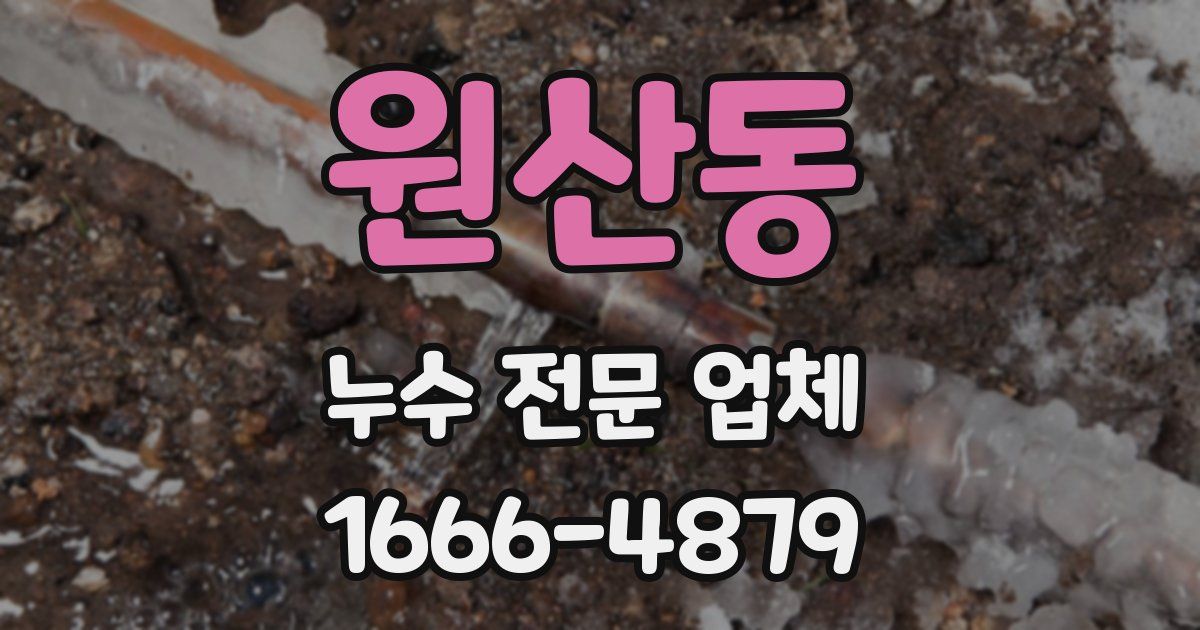 원산동 누수 전문 업체