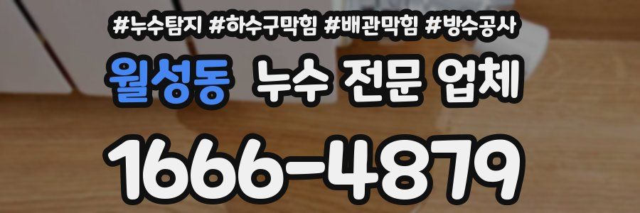 월성동 누수 전문 업체