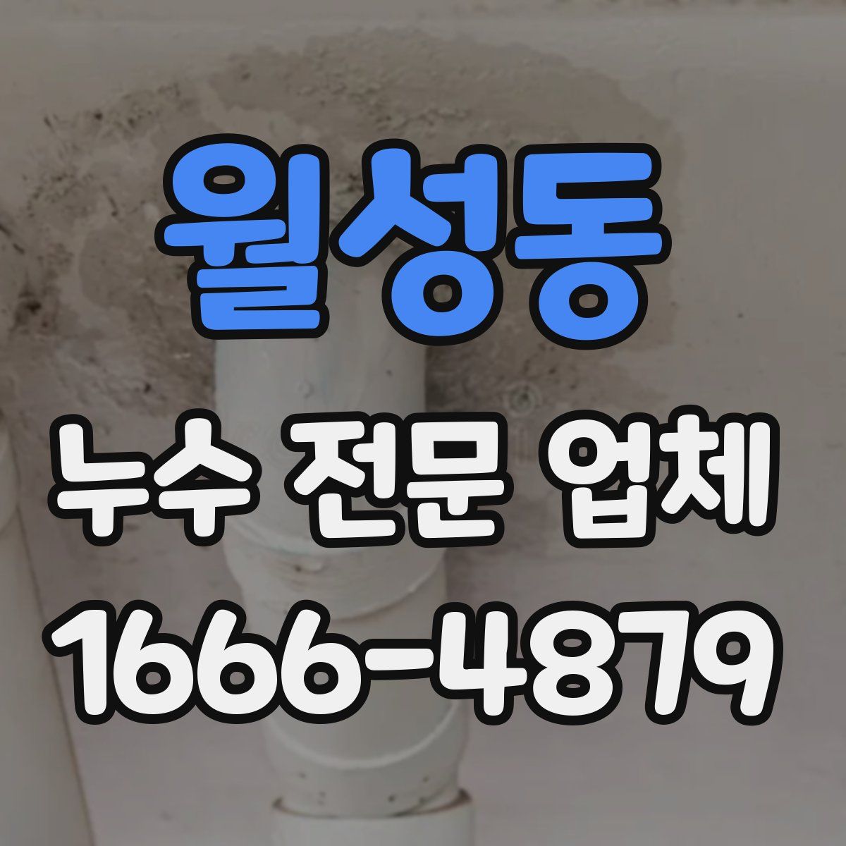 월성동 누수 전문 업체