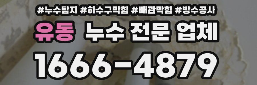 유동 누수 전문 업체
