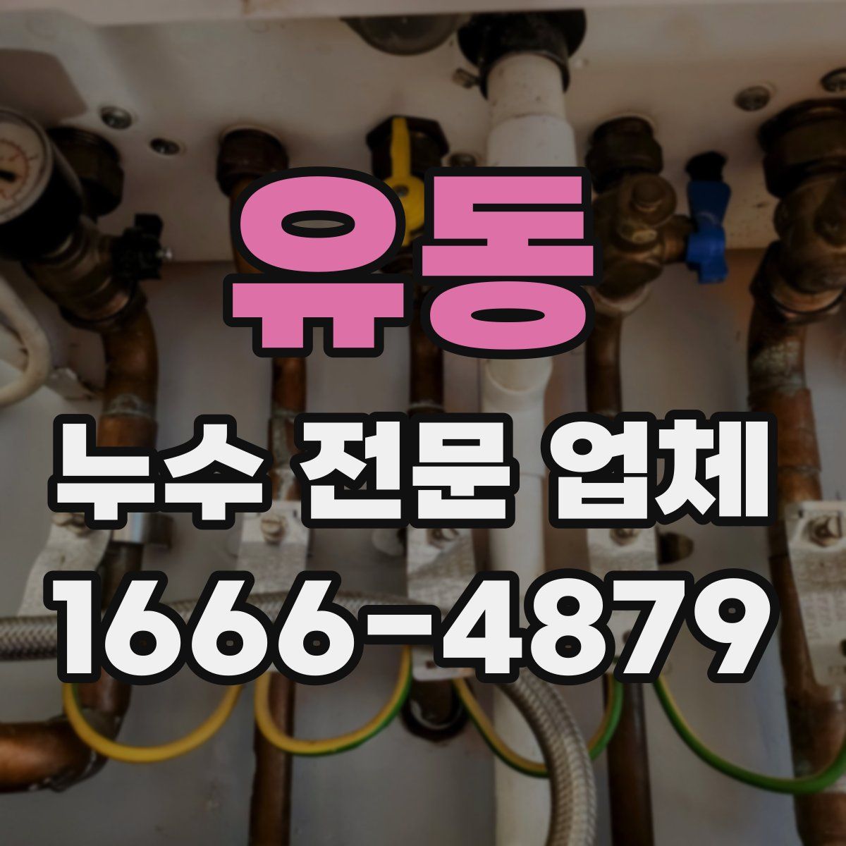 유동 누수 전문 업체