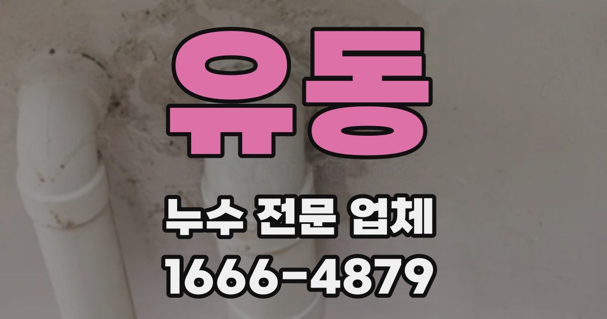 유동 누수 전문 업체