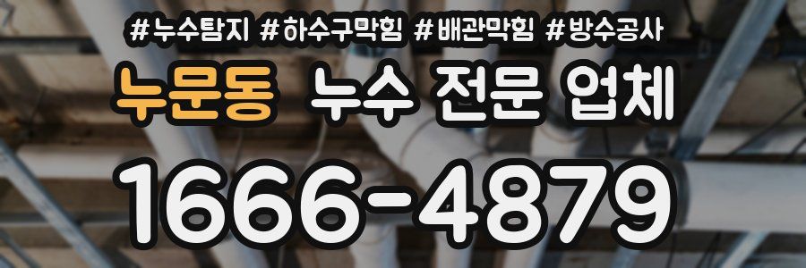 누문동 누수 전문 업체