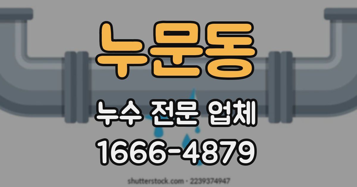 누문동 누수 전문 업체