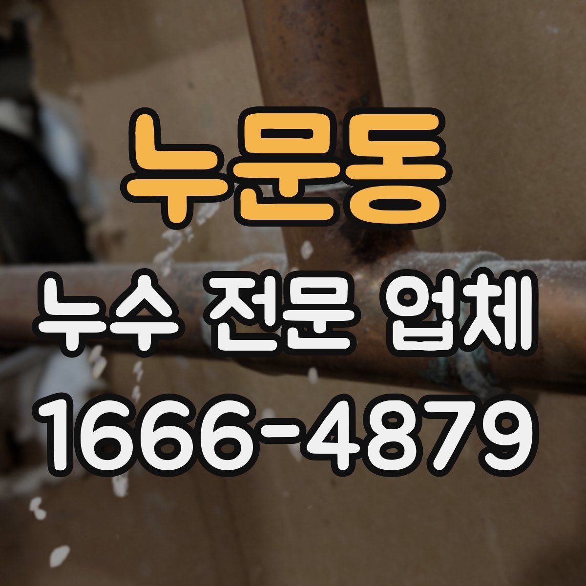 누문동 누수 전문 업체