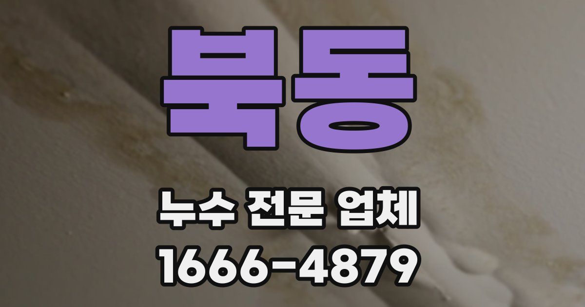 북동 누수 전문 업체
