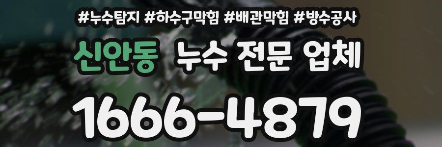 신안동 누수 전문 업체