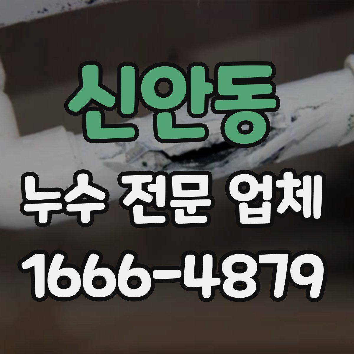 신안동 누수 전문 업체
