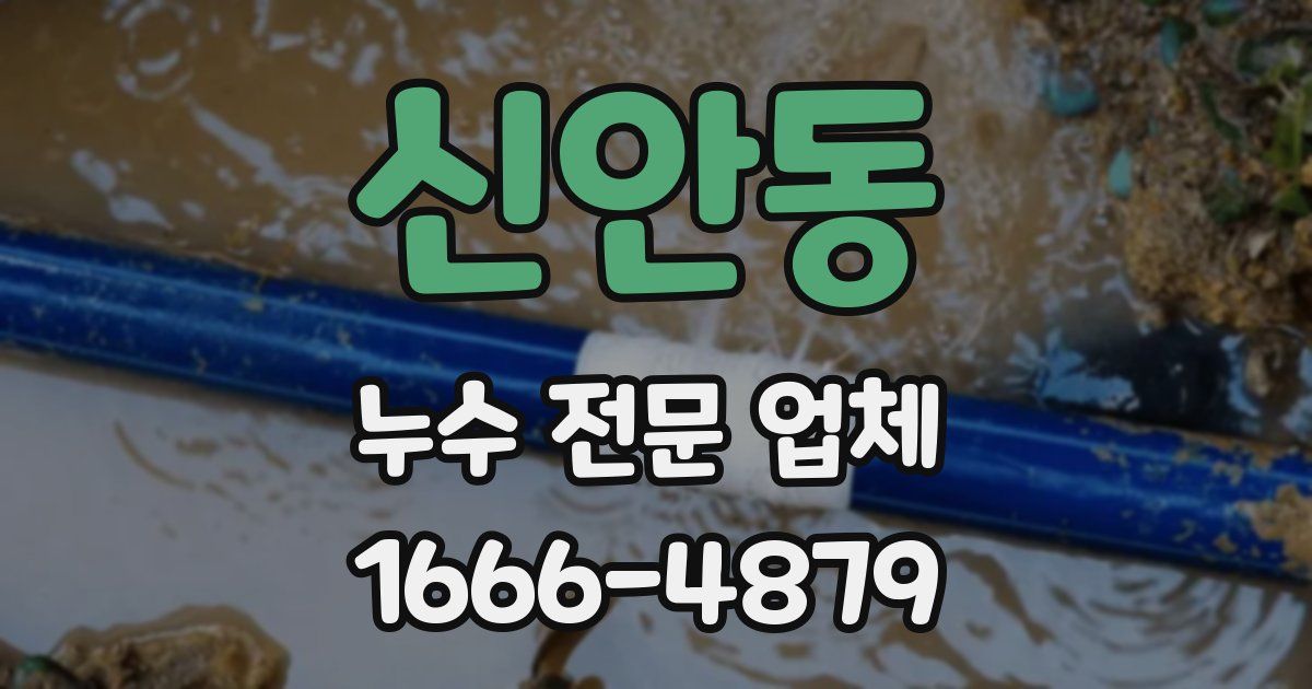 신안동 누수 전문 업체