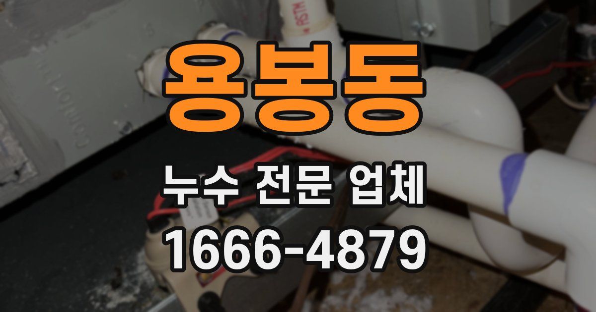 용봉동 누수 전문 업체