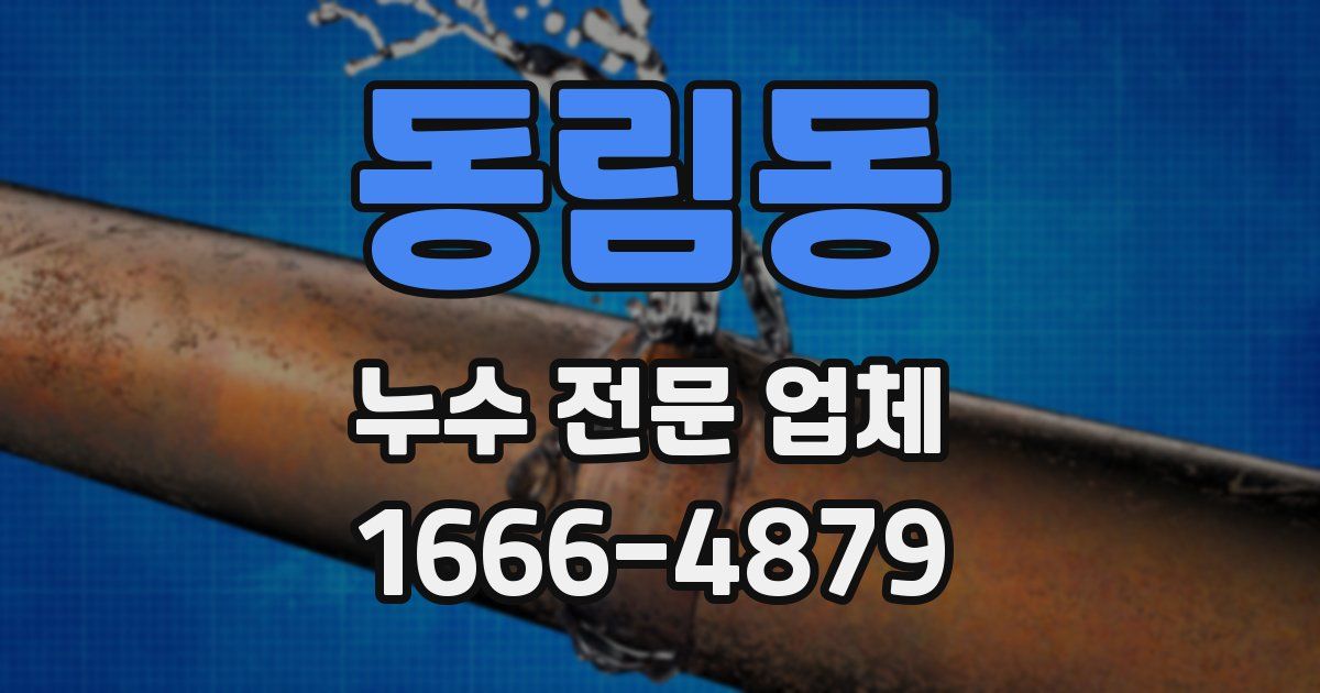 동림동 누수 전문 업체