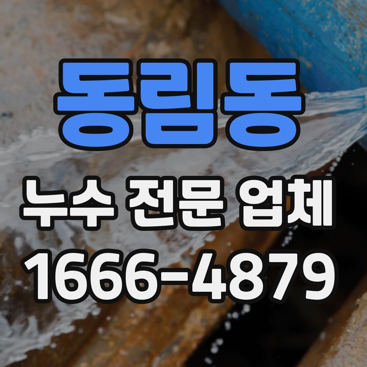 동림동 누수 전문 업체