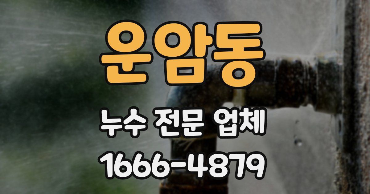 운암동 누수 전문 업체