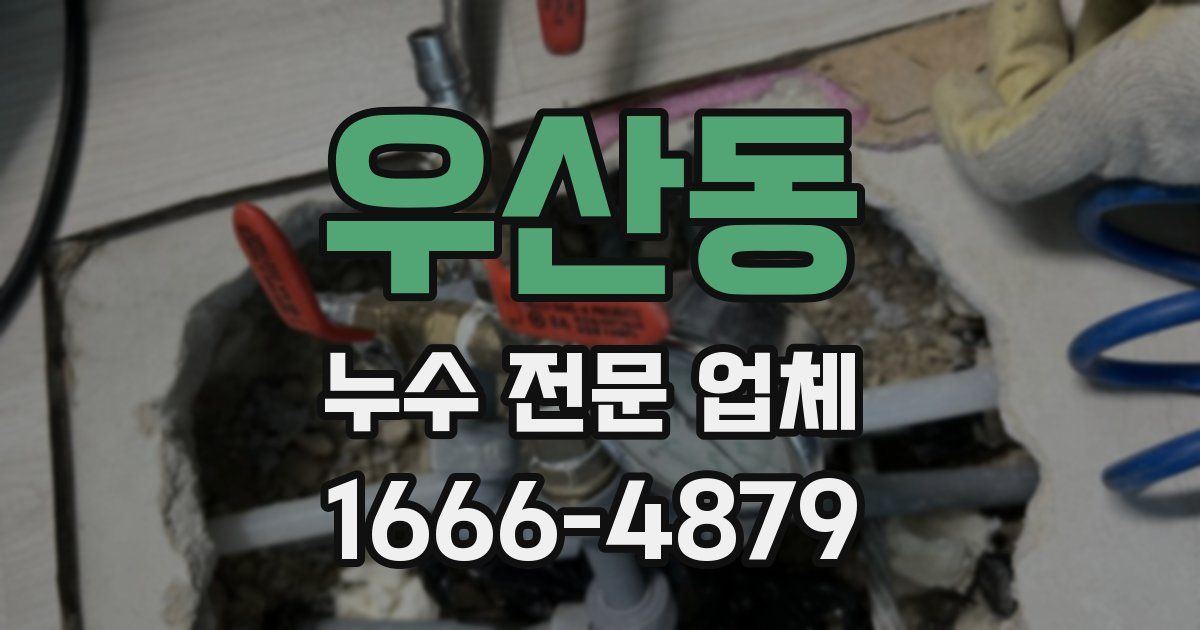 우산동 누수 전문 업체