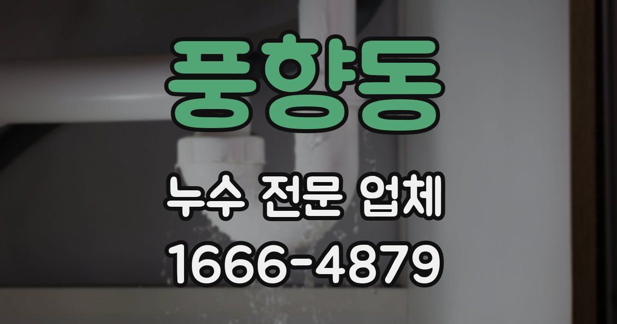 풍향동 누수 전문 업체