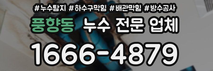 풍향동 누수 전문 업체