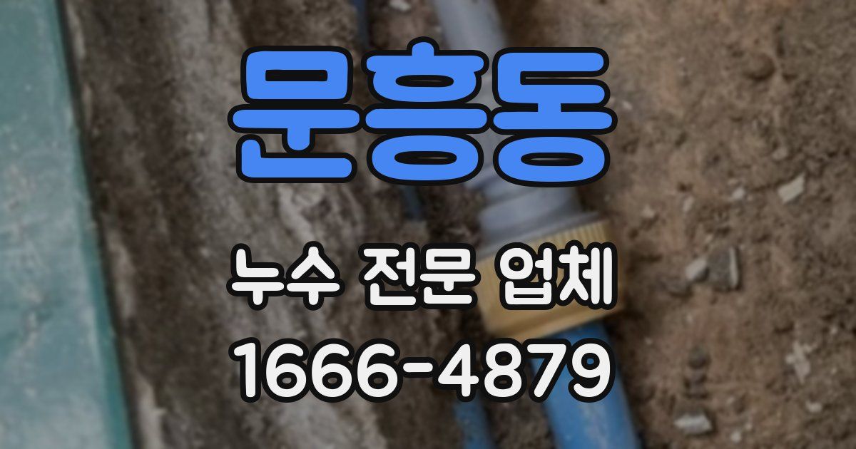 문흥동 누수 전문 업체