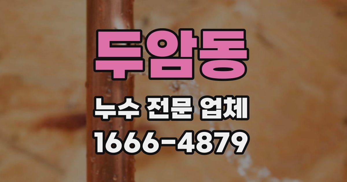 두암동 누수 전문 업체