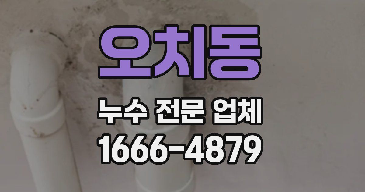 오치동 누수 전문 업체