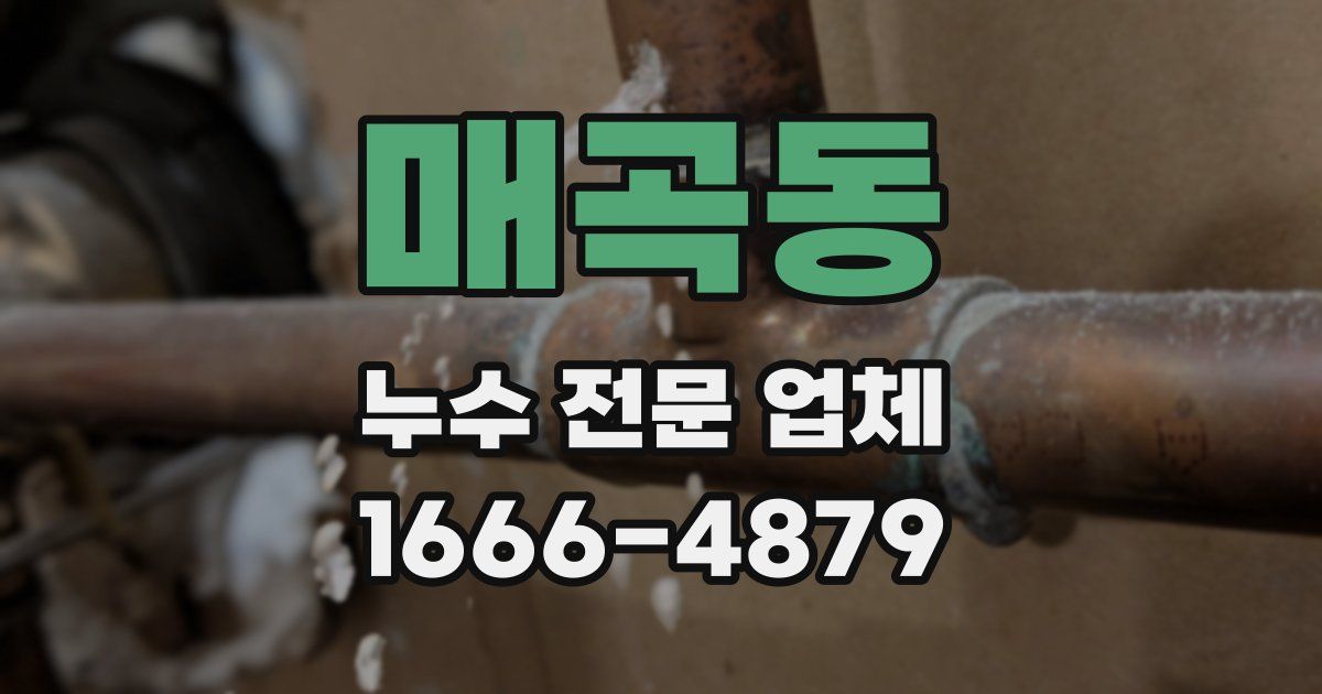 매곡동 누수 전문 업체