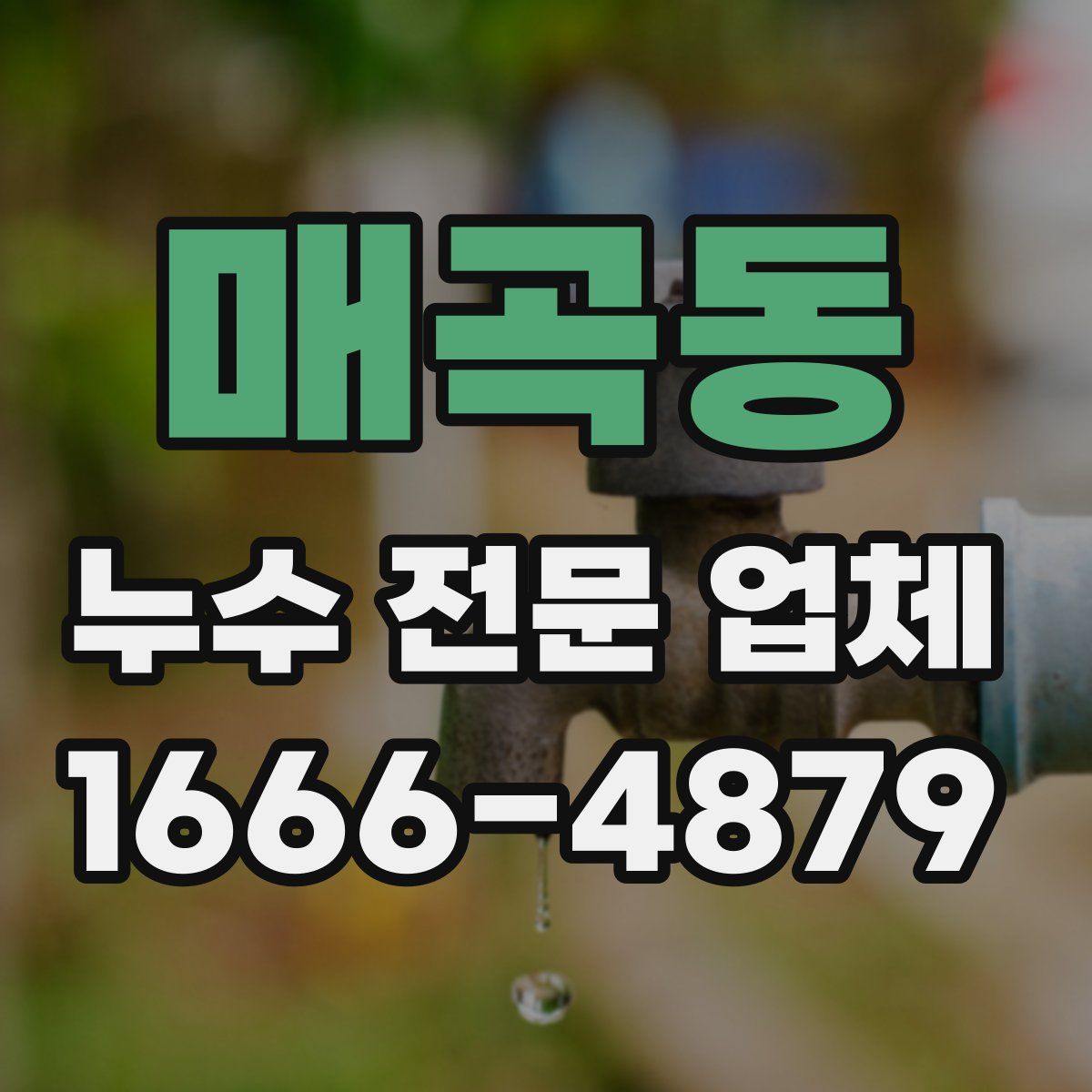 매곡동 누수 전문 업체