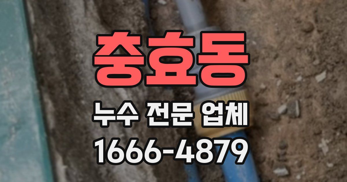 충효동 누수 전문 업체