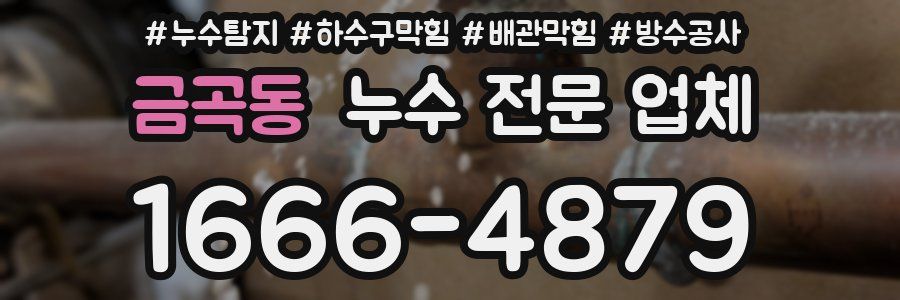 금곡동 누수 전문 업체