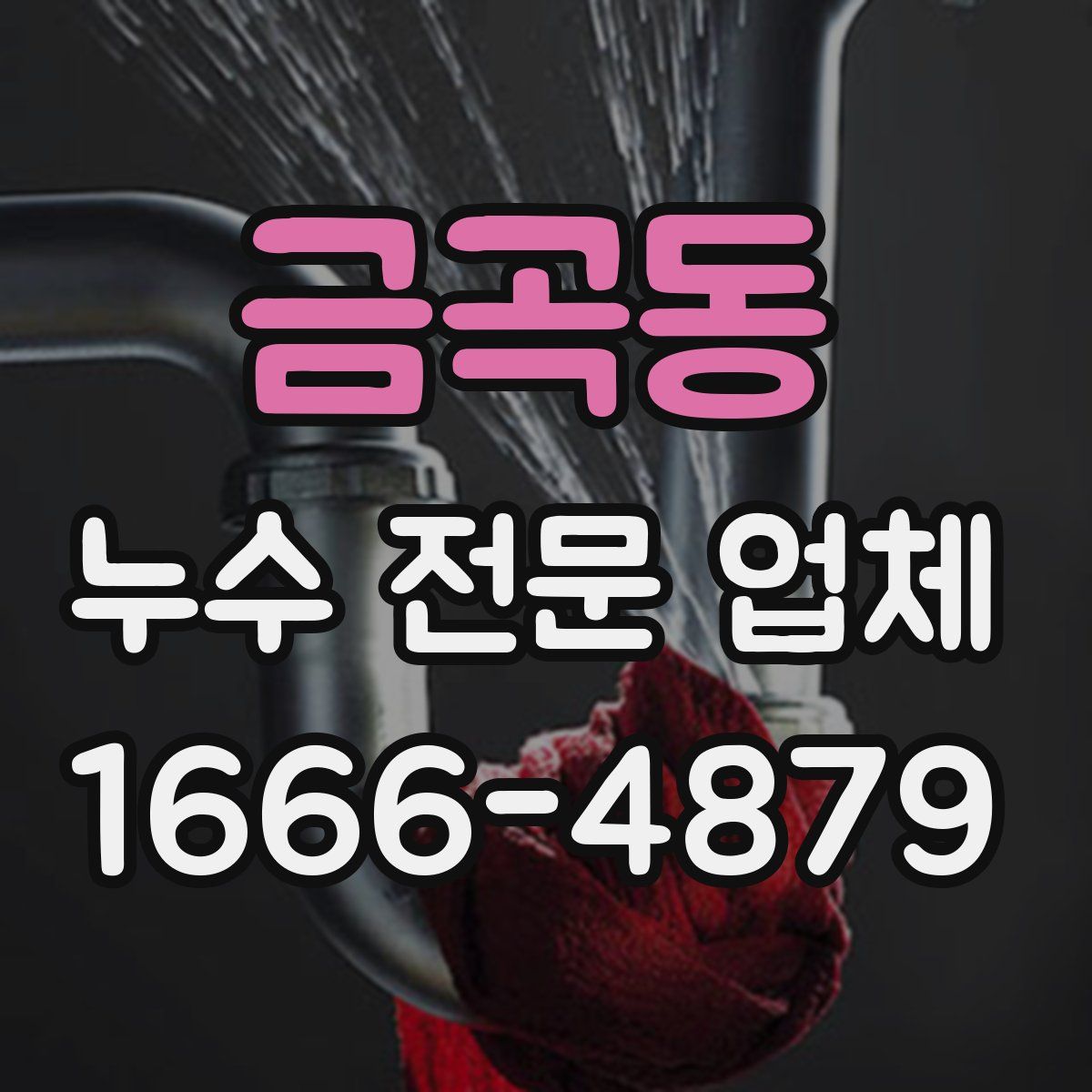 금곡동 누수 전문 업체