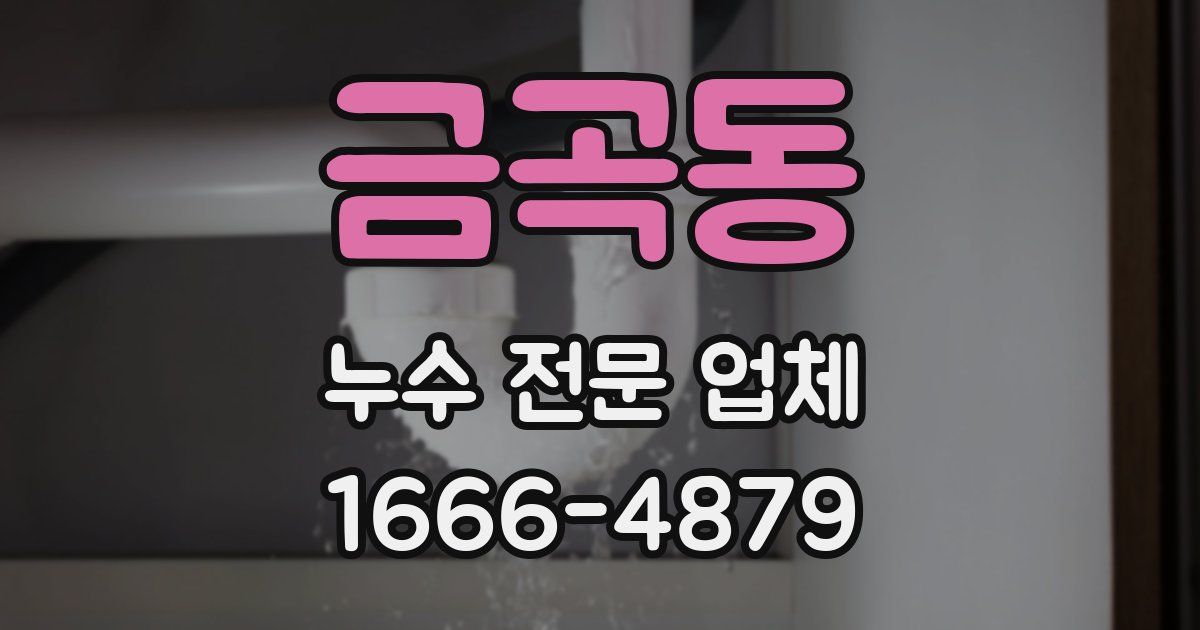 금곡동 누수 전문 업체