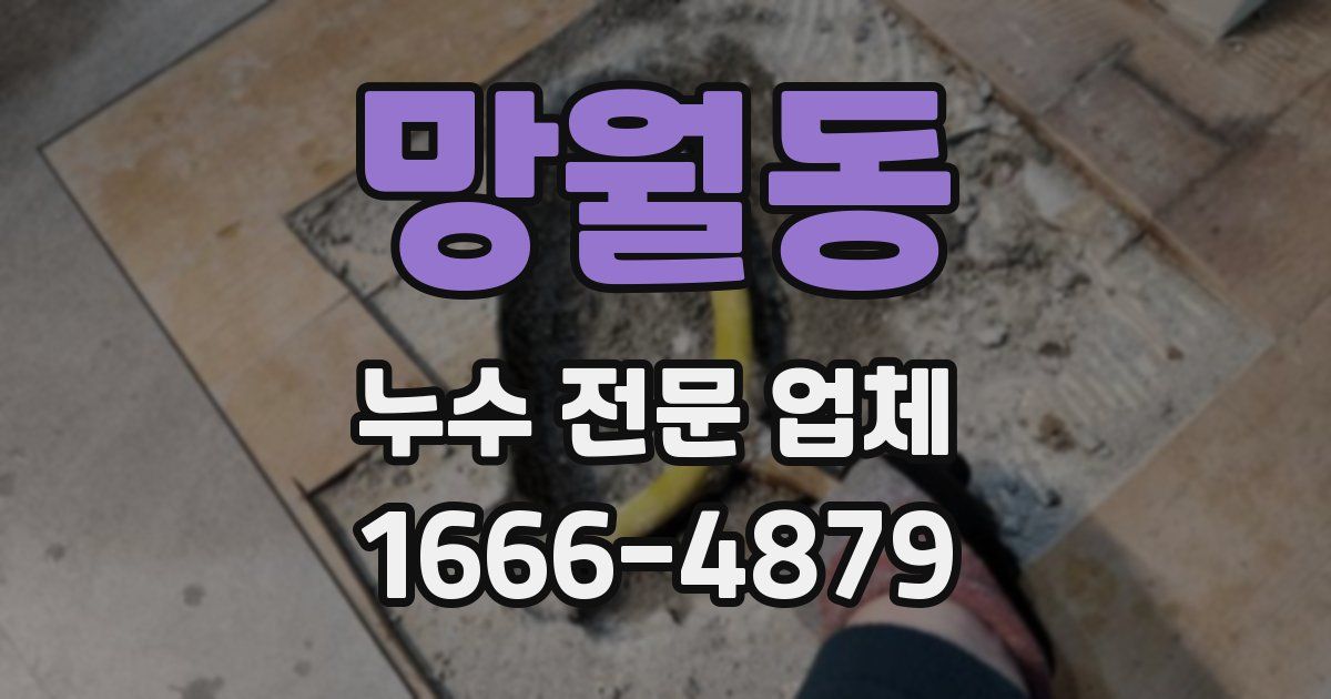 망월동 누수 전문 업체