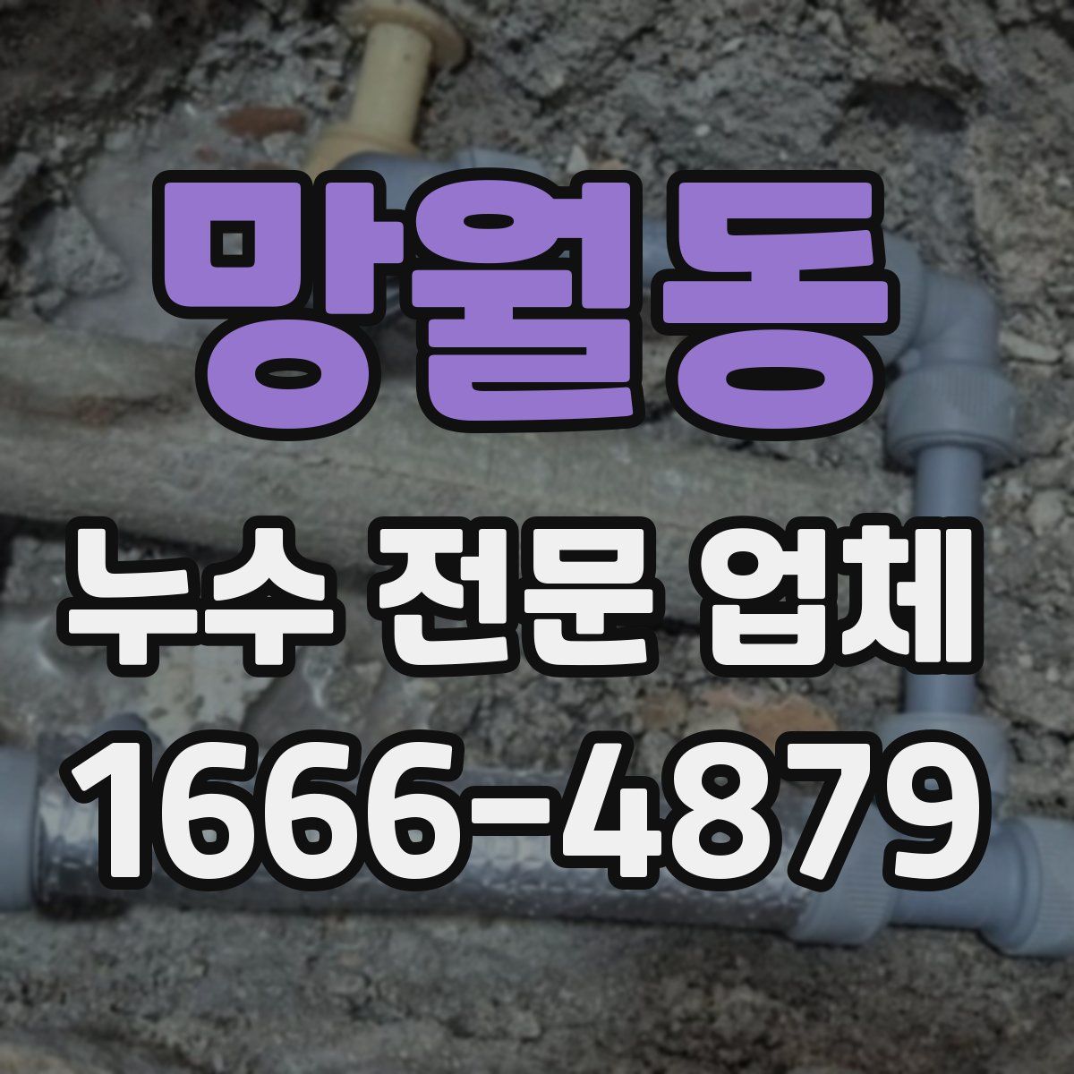 망월동 누수 전문 업체