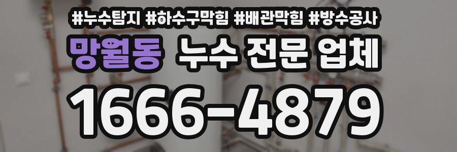 망월동 누수 전문 업체