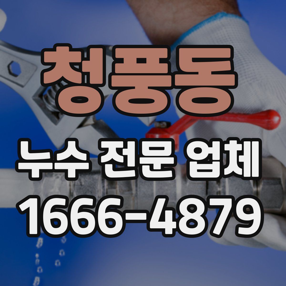 청풍동 누수 전문 업체