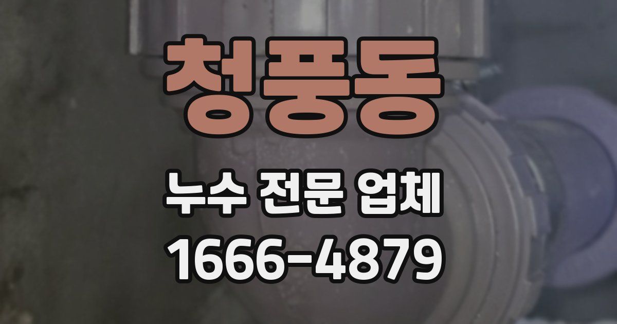 청풍동 누수 전문 업체
