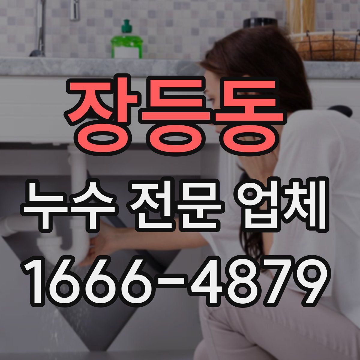 장등동 누수 전문 업체