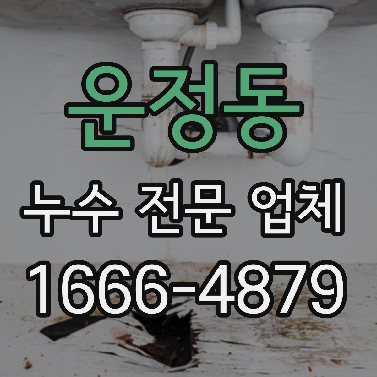 운정동 누수 전문 업체
